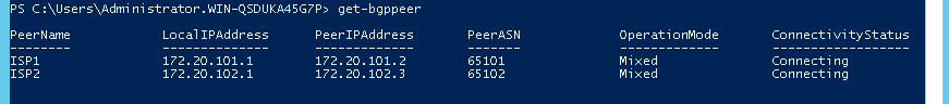 Настройка BGP-пиров в Windows Server 2012 R2