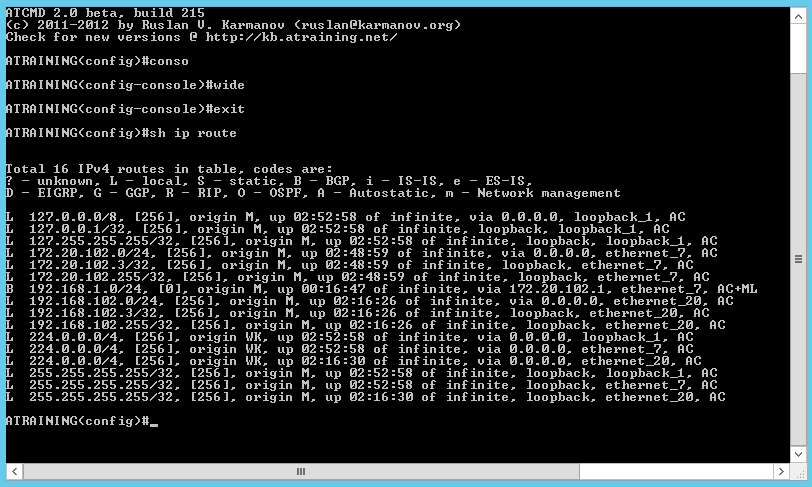 Таблица маршрутизации с BGP-маршрутом, просмотр через atcmd.exe